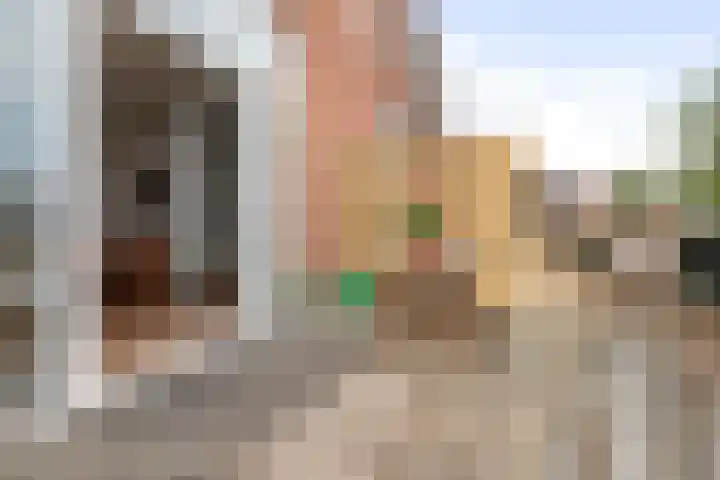 Schouwtjeslaan 29 RD Haarlem thumbnail 47