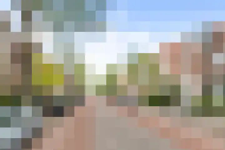 Schouwtjeslaan 29 RD Haarlem thumbnail 5
