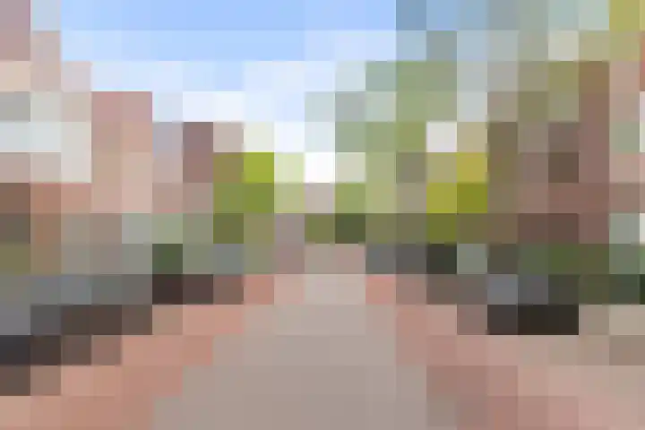 Schouwtjeslaan 29 RD Haarlem thumbnail 52