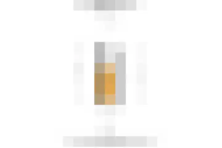 Schouwtjeslaan 29 RD Haarlem thumbnail 55