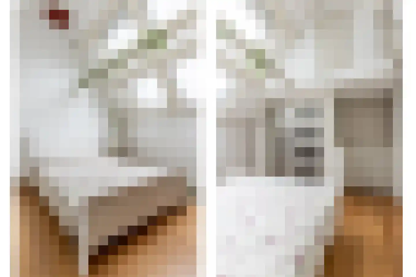 Schouwtjeslaan 3 A Haarlem thumbnail 16
