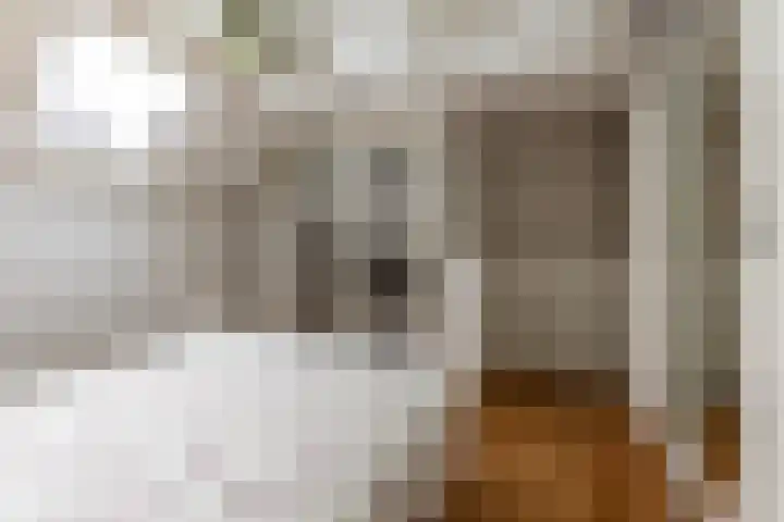 Schouwtjeslaan 3 A Haarlem thumbnail 17
