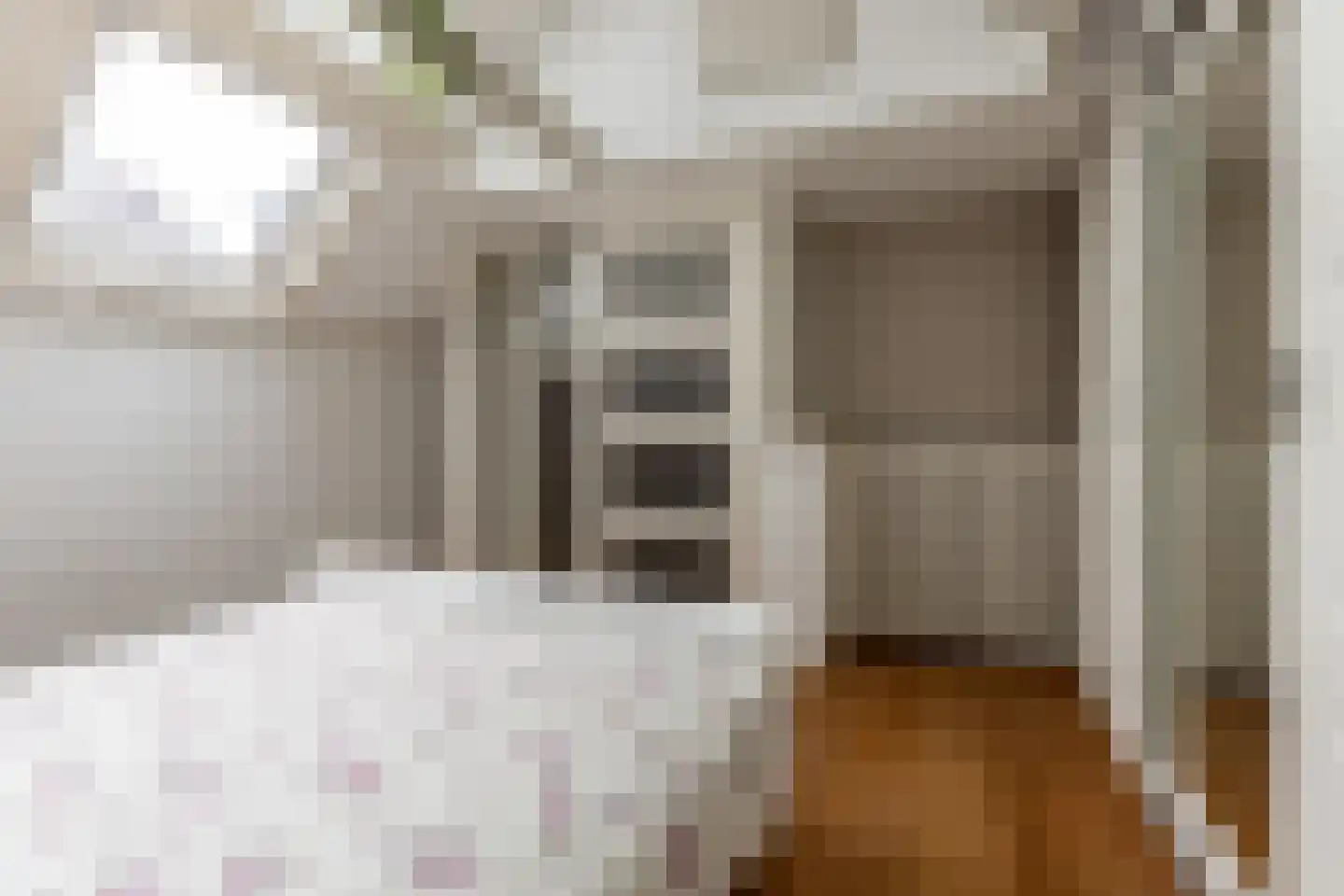 Schouwtjeslaan 3 A Haarlem thumbnail 17