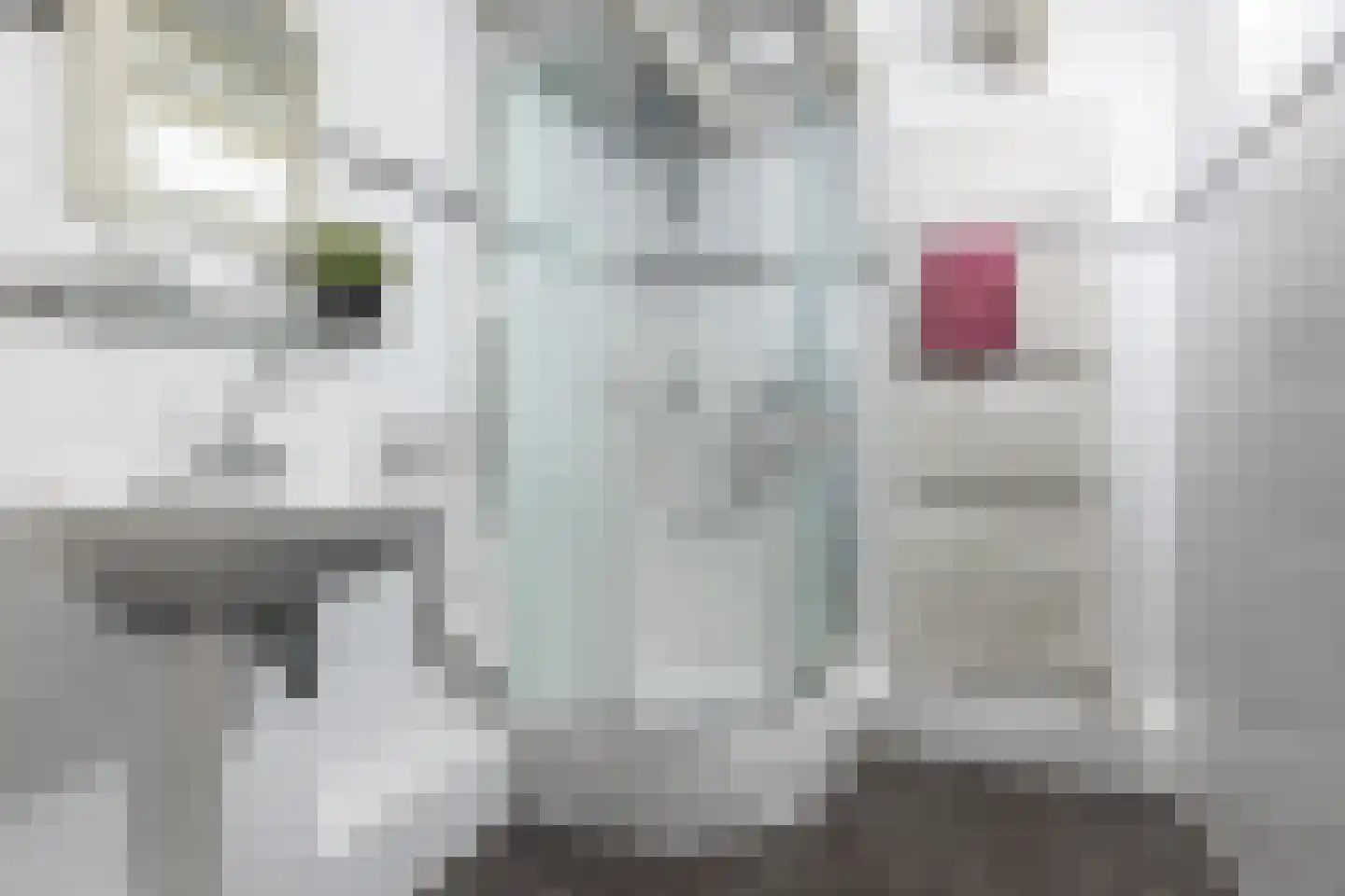 Schouwtjeslaan 3 A Haarlem thumbnail 18