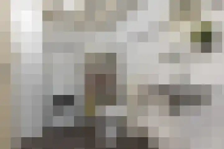 Schouwtjeslaan 3 A Haarlem thumbnail 19