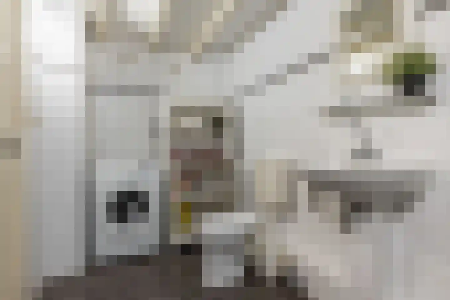 Schouwtjeslaan 3 A Haarlem thumbnail 19