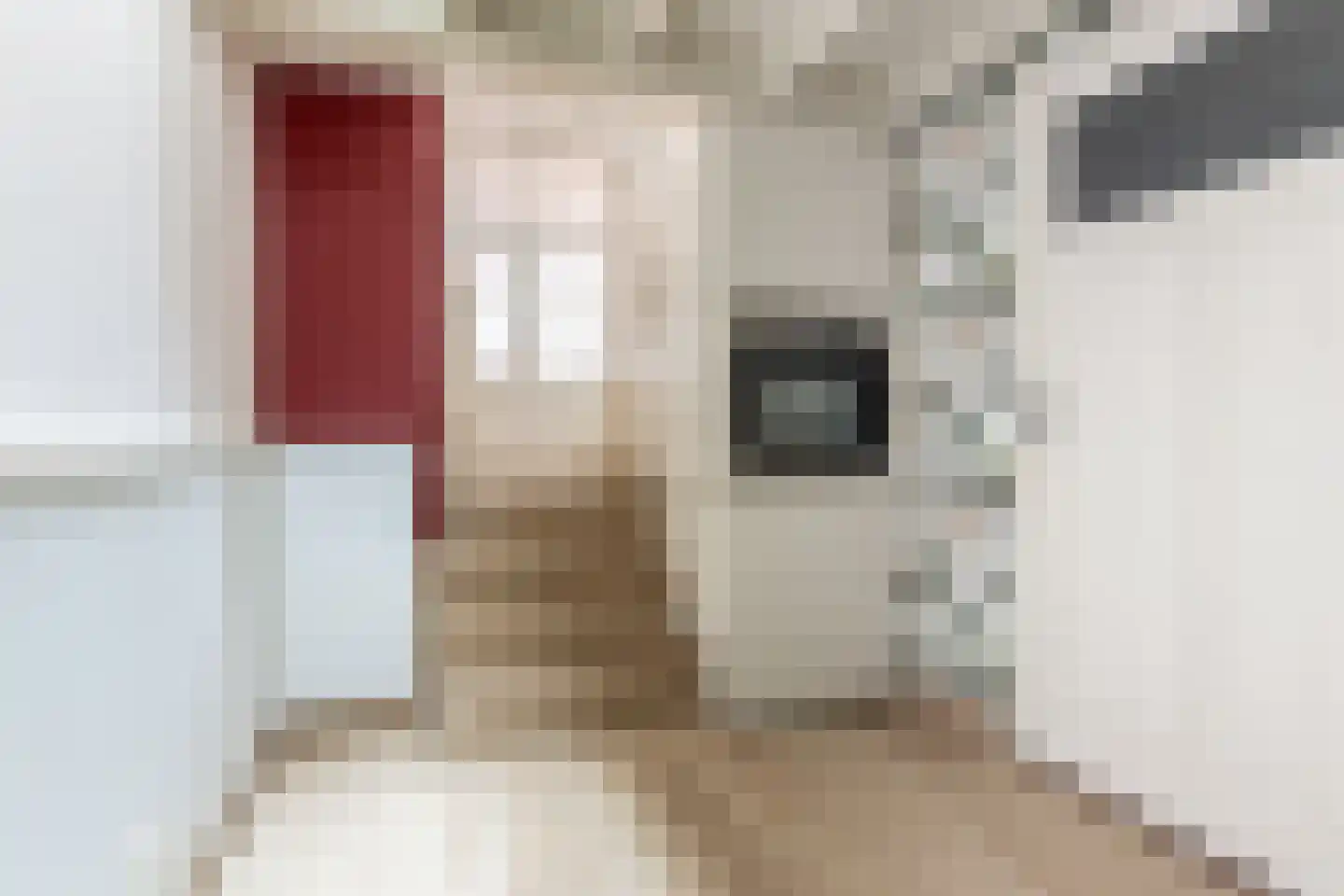 Schouwtjeslaan 3 A Haarlem thumbnail 23