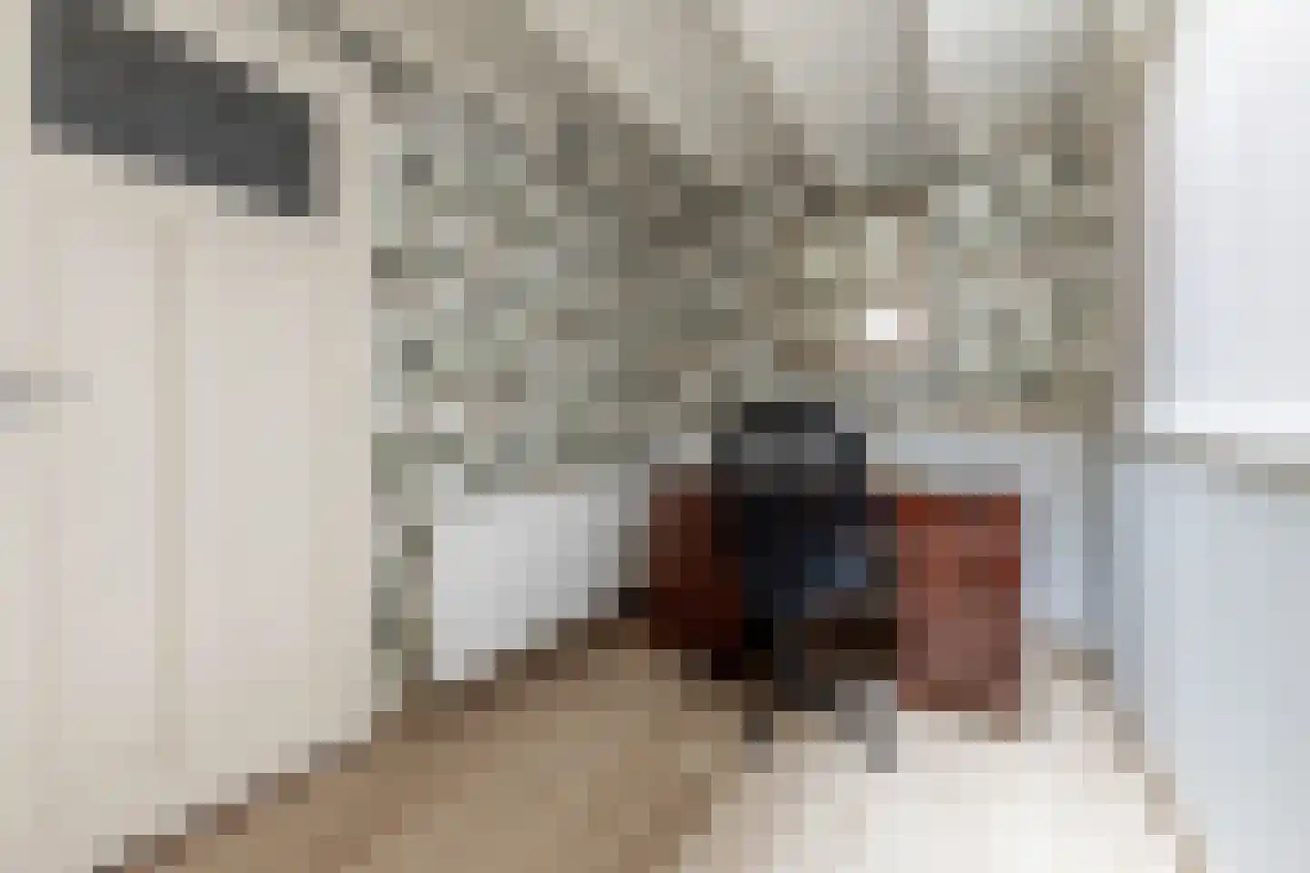 Schouwtjeslaan 3 A Haarlem thumbnail 24