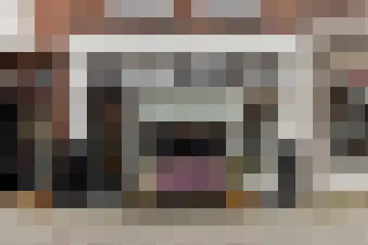 Schouwtjeslaan 3 A Haarlem thumbnail 5