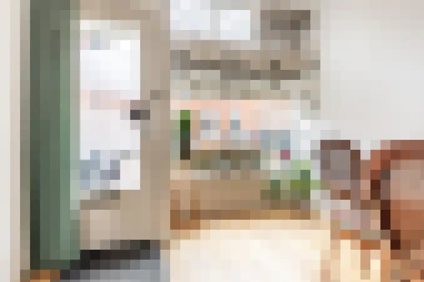 Schouwtjeslaan 3 A Haarlem thumbnail 6