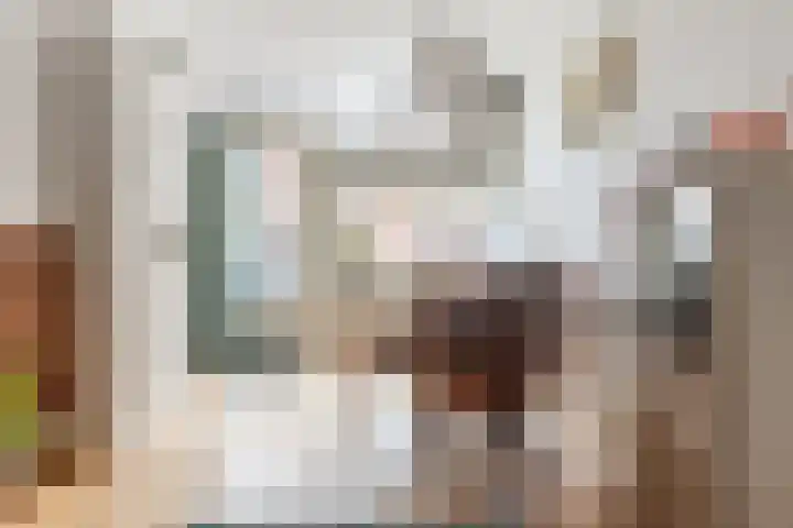 Schouwtjeslaan 3 A Haarlem thumbnail 7