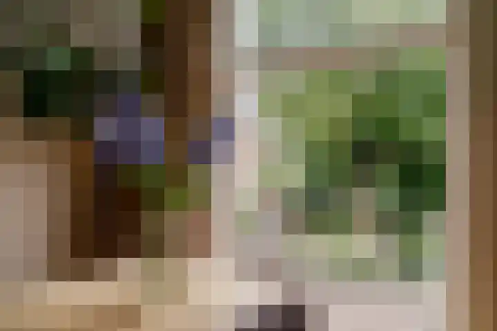Schouwtjeslaan 42 Haarlem thumbnail 12