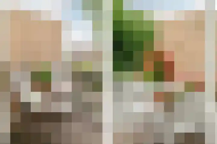 Schouwtjeslaan 42 Haarlem thumbnail 13