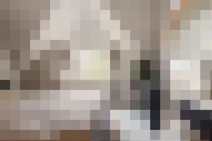 Schouwtjeslaan 42 Haarlem thumbnail 16