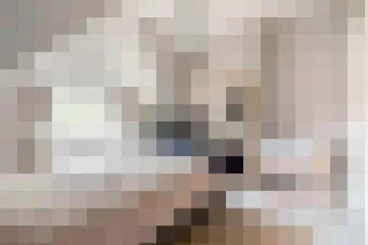 Schouwtjeslaan 42 Haarlem thumbnail 17