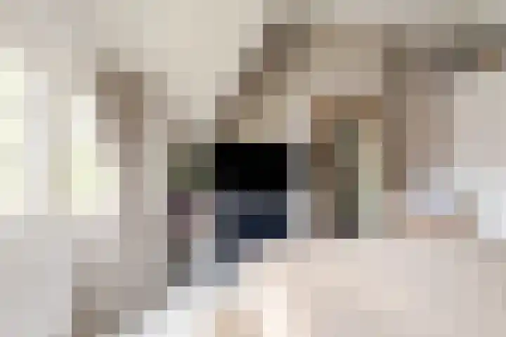 Schouwtjeslaan 42 Haarlem thumbnail 18