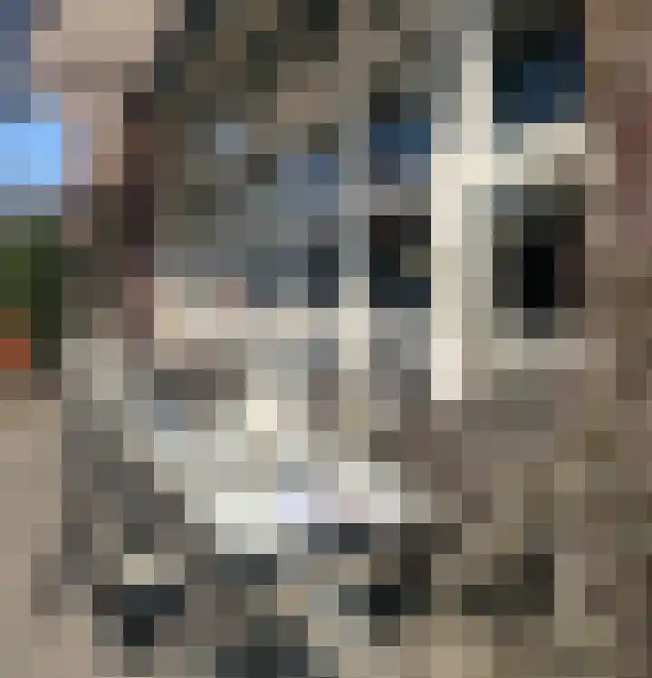 Schouwtjeslaan 42 Haarlem thumbnail 30