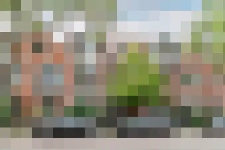 Schouwtjeslaan 42 Haarlem thumbnail 5