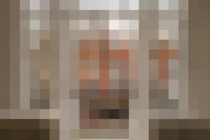 Schouwtjeslaan 43 RD Haarlem thumbnail 4