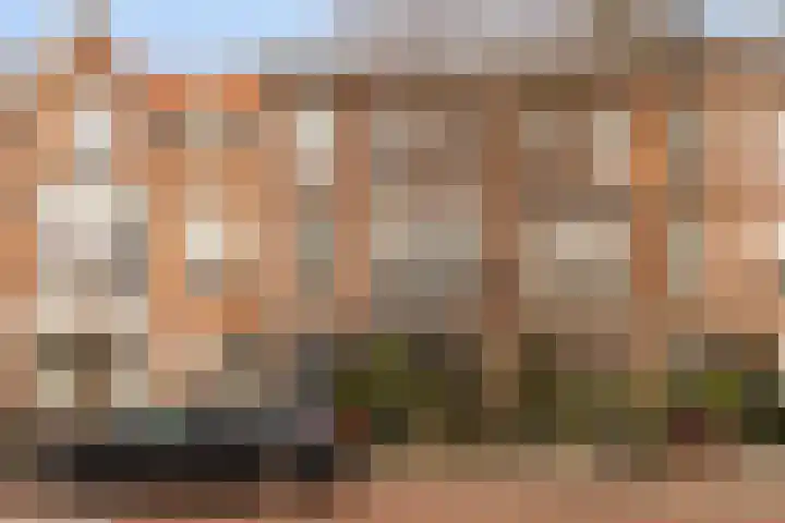 Schouwtjeslaan 43 RD Haarlem thumbnail 48