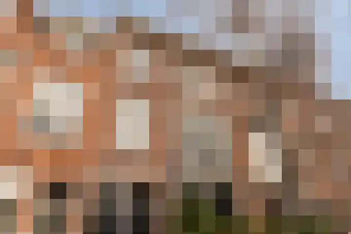 Schouwtjeslaan 43 RD Haarlem thumbnail 7