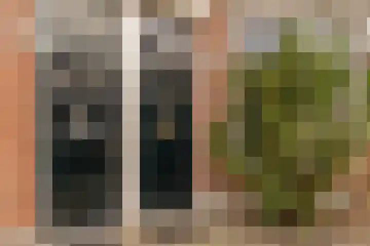 Schouwtjeslaan 43 RD Haarlem thumbnail 8