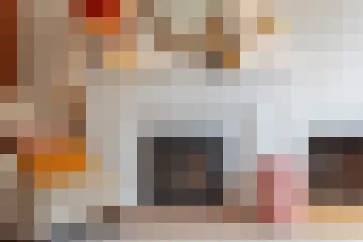 Schouwtjeslaan 43 ZW Haarlem thumbnail 11