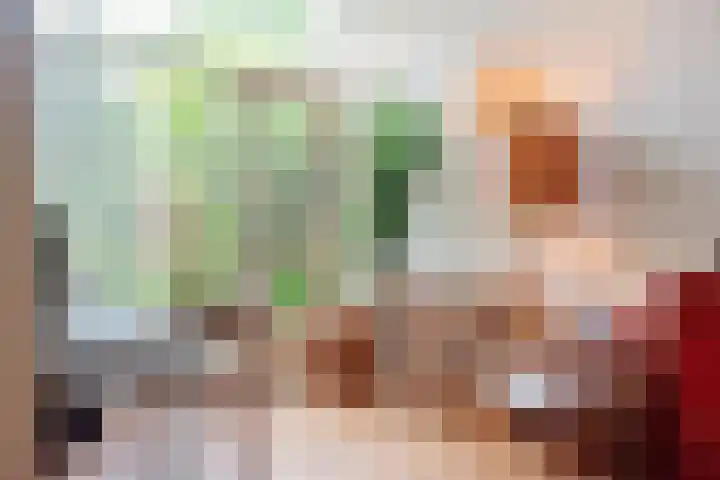 Schouwtjeslaan 43 ZW Haarlem thumbnail 23