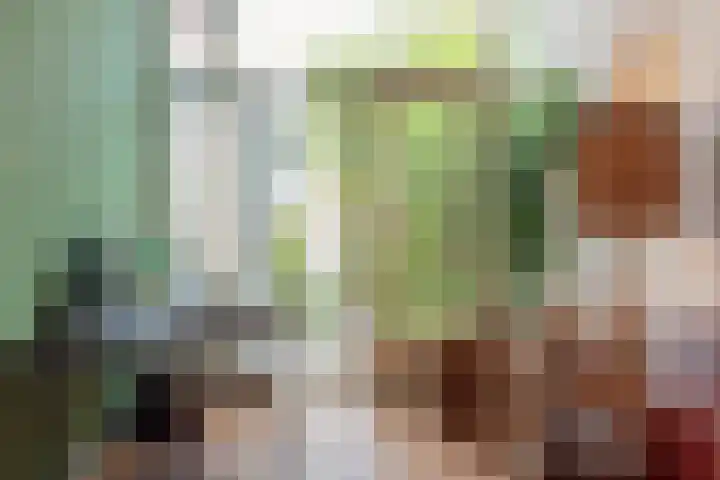 Schouwtjeslaan 43 ZW Haarlem thumbnail 24
