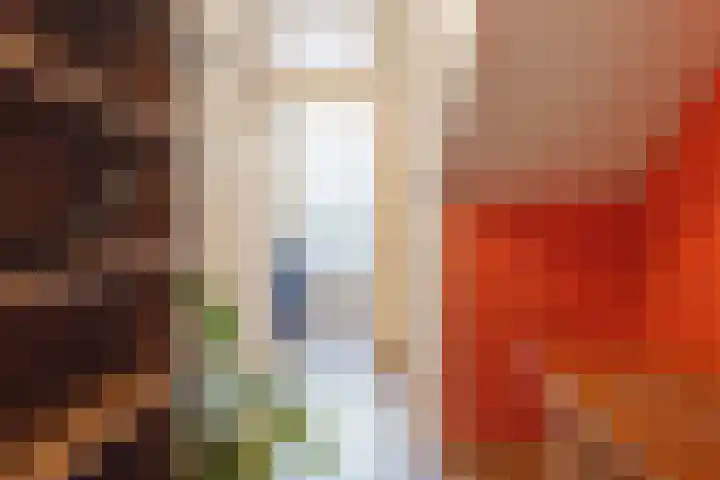 Schouwtjeslaan 43 ZW Haarlem thumbnail 30