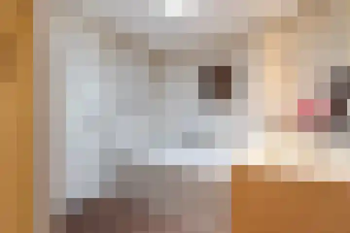 Schouwtjeslaan 43 ZW Haarlem thumbnail 36