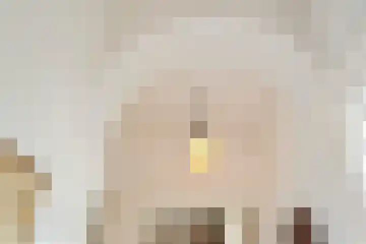 Schouwtjeslaan 43 ZW Haarlem thumbnail 39