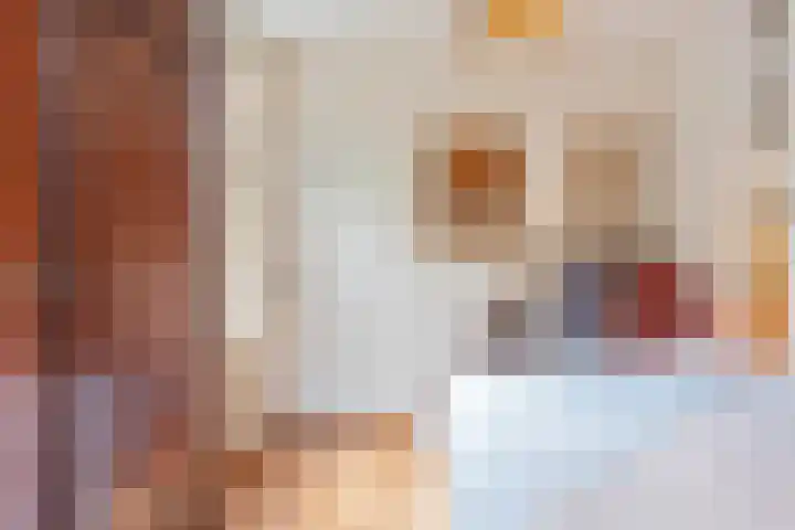 Schouwtjeslaan 43 ZW Haarlem thumbnail 42