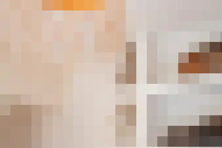 Schouwtjeslaan 43 ZW Haarlem thumbnail 44
