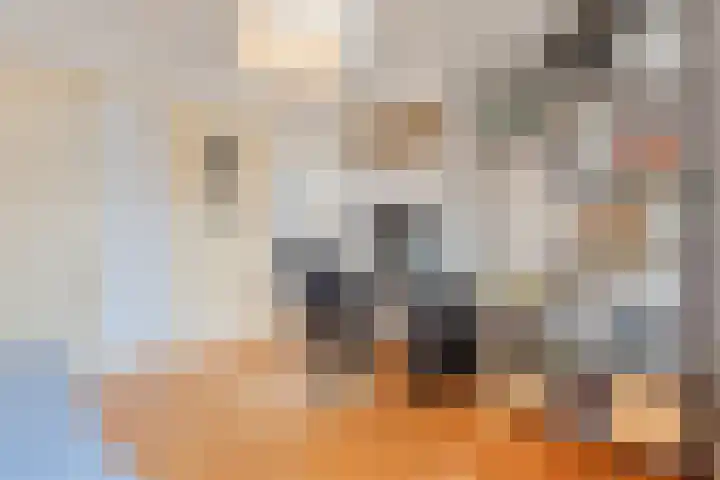 Schouwtjeslaan 43 ZW Haarlem thumbnail 47