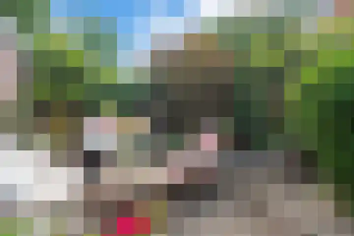 Schouwtjeslaan 43 ZW Haarlem thumbnail 49