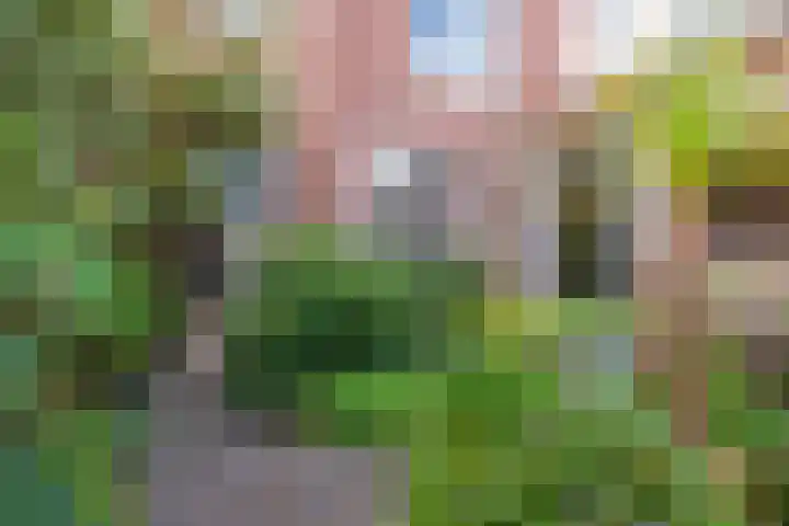 Schouwtjeslaan 43 ZW Haarlem thumbnail 51