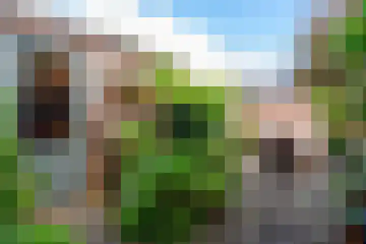 Schouwtjeslaan 43 ZW Haarlem thumbnail 52