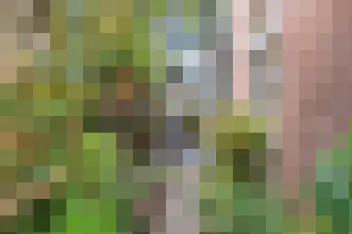 Schouwtjeslaan 43 ZW Haarlem thumbnail 53