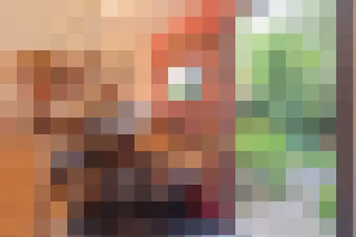 Schouwtjeslaan 43 ZW Haarlem thumbnail 55