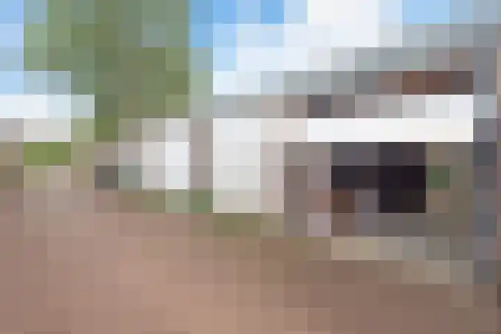 Schouwtjeslaan 43 ZW Haarlem thumbnail 56