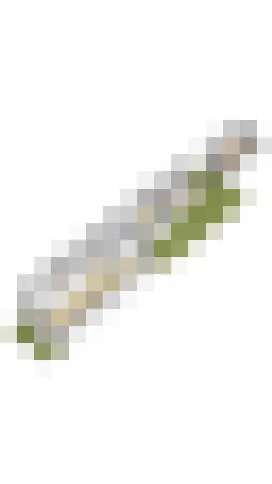 Schouwtjeslaan 43 ZW Haarlem thumbnail 63