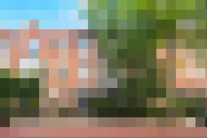 Schouwtjeslaan 43 ZW Haarlem thumbnail 67