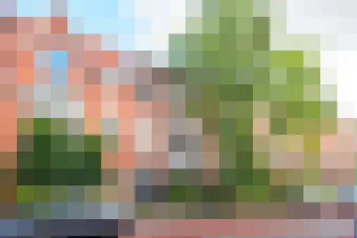 Schouwtjeslaan 43 ZW Haarlem thumbnail 7