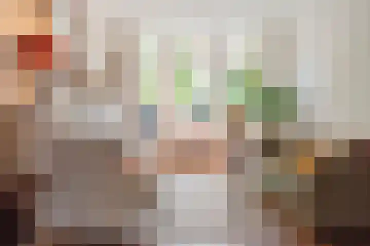 Schouwtjeslaan 43 ZW Haarlem thumbnail 8