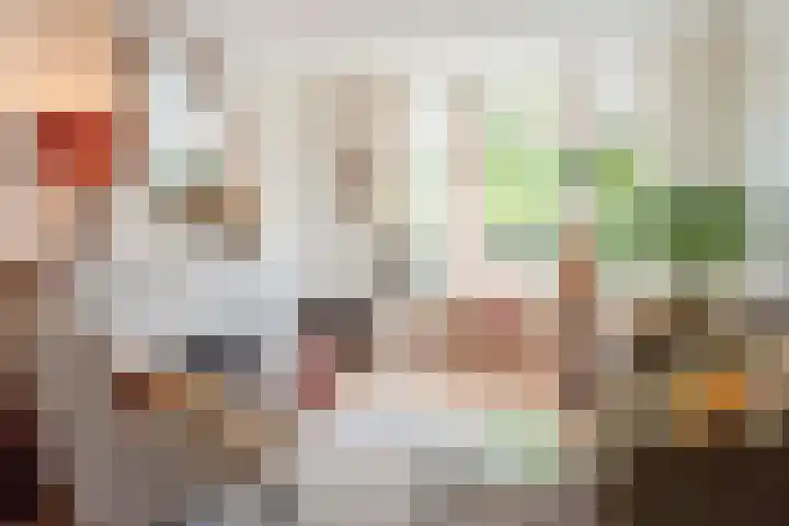 Schouwtjeslaan 43 ZW Haarlem thumbnail 9