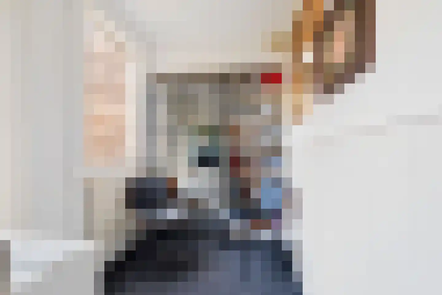 Schouwtjeslaan 5 Haarlem thumbnail 11