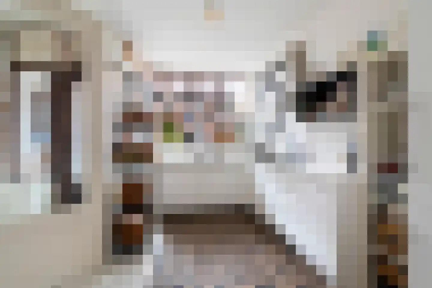 Schouwtjeslaan 5 Haarlem thumbnail 15