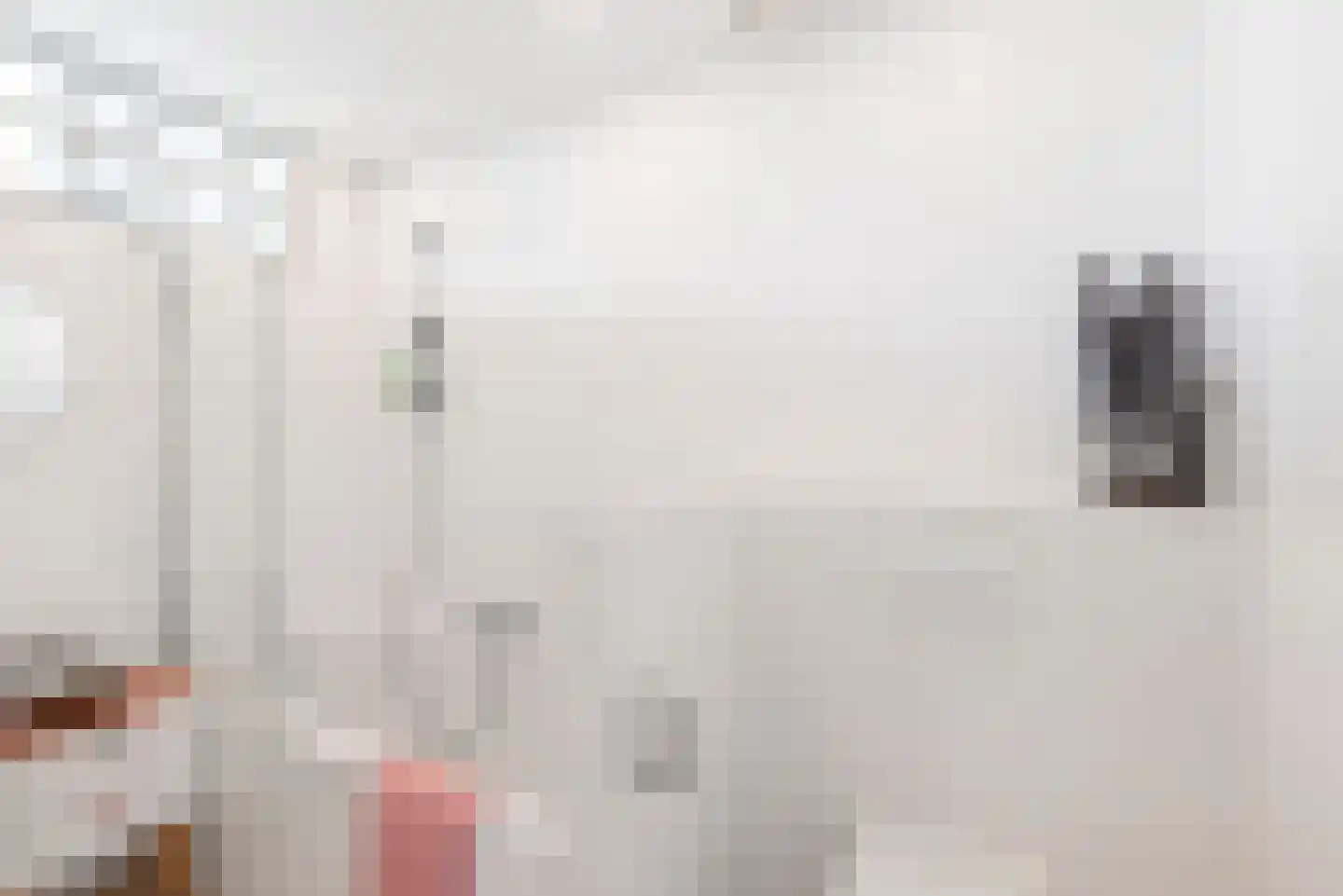 Schouwtjeslaan 5 Haarlem thumbnail 28