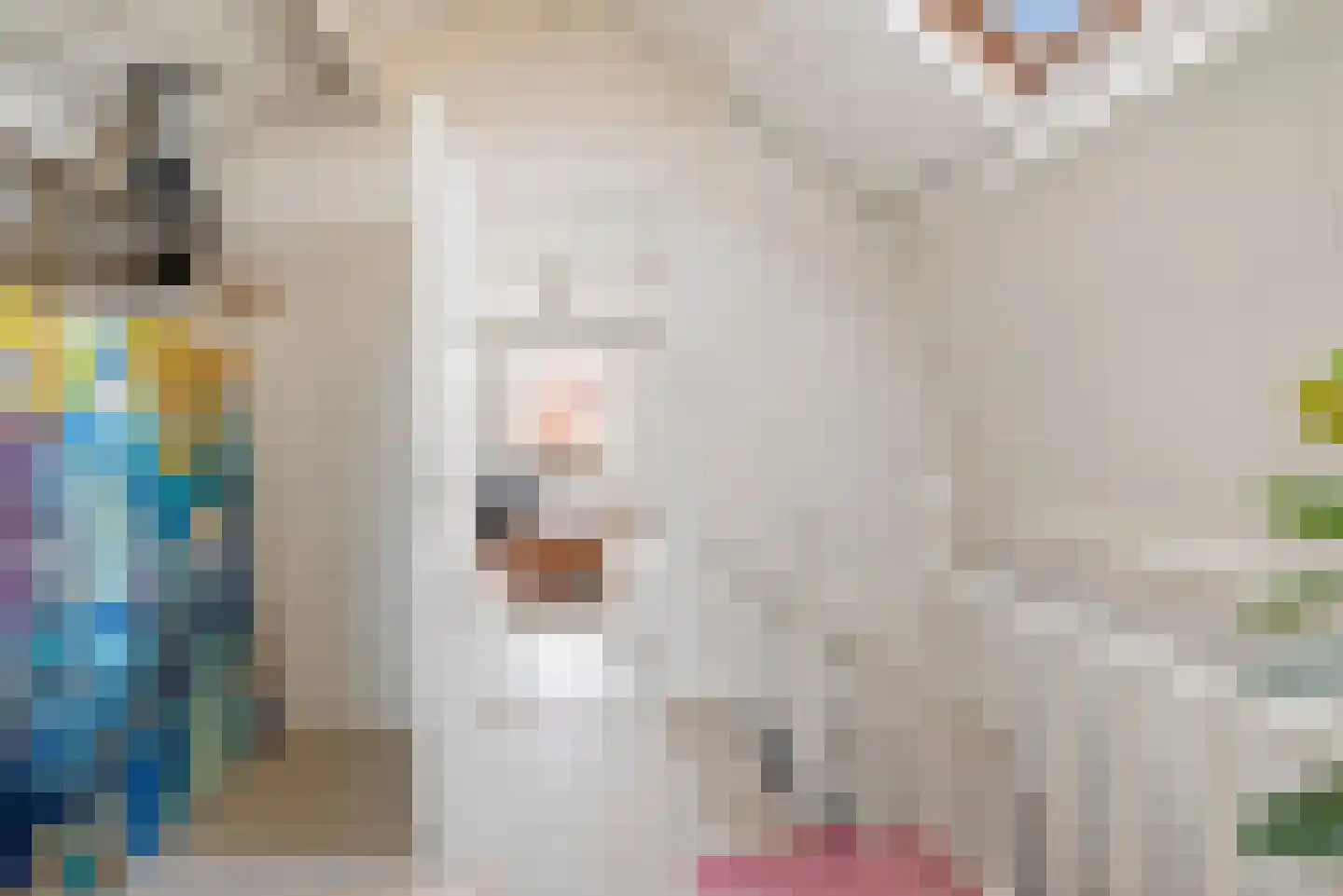 Schouwtjeslaan 5 Haarlem thumbnail 31
